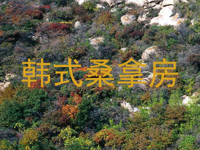 韩式桑拿房