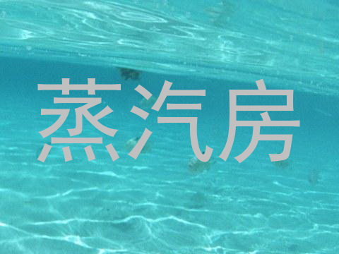蒸汽房