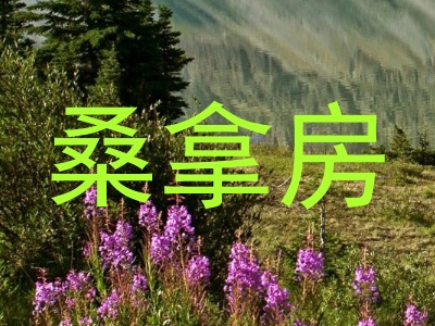 桑拿房