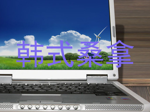 韩式桑拿