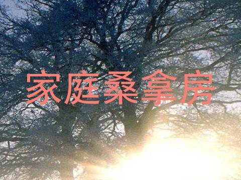 家庭桑拿房