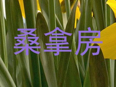 桑拿房