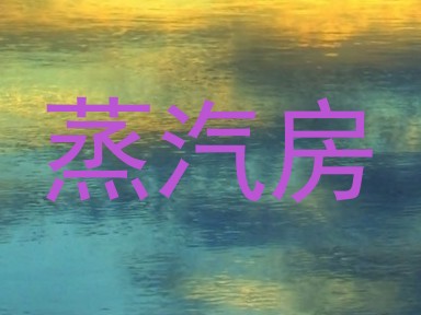 蒸汽房