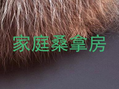 家庭桑拿房