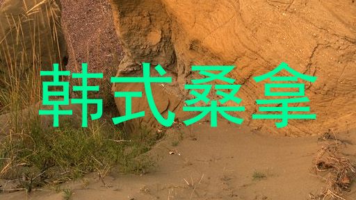 韩式桑拿