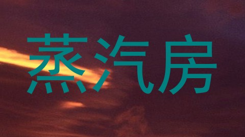 蒸汽房