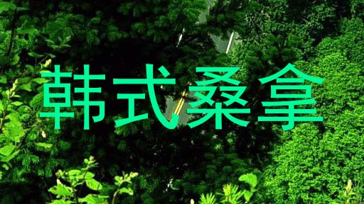 韩式桑拿