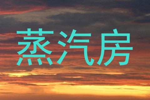 蒸汽房