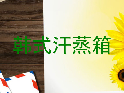韩式汗蒸箱