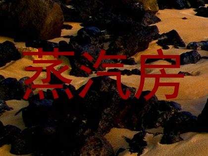 蒸汽房