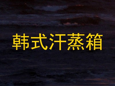 韩式汗蒸箱
