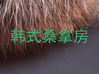 韩式桑拿房