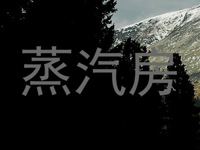 蒸汽房