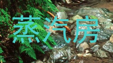 蒸汽房