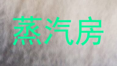 蒸汽房