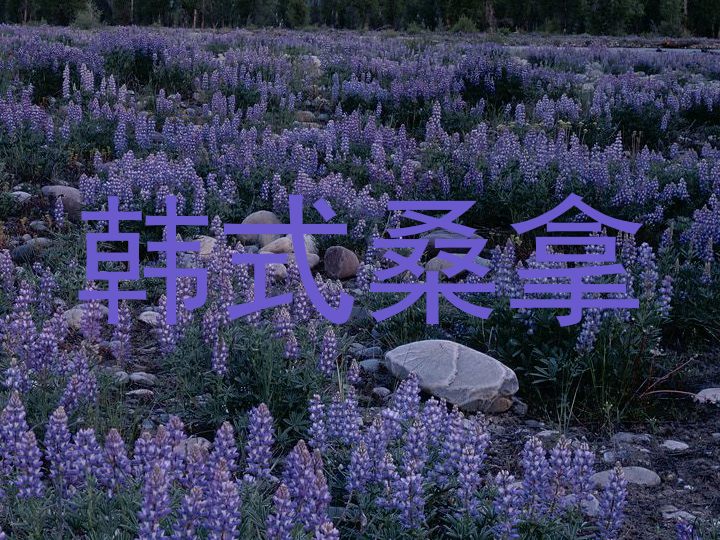 韩式桑拿