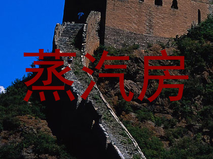 蒸汽房