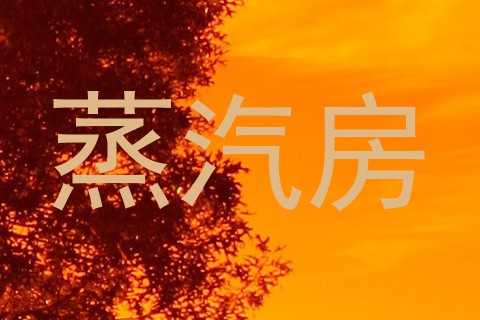 蒸汽房