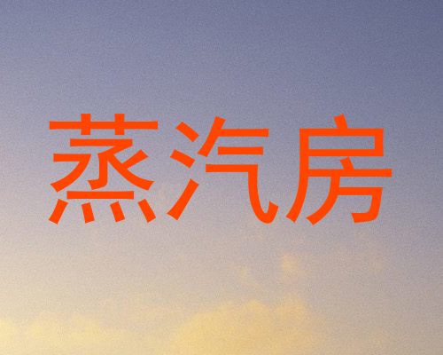 蒸汽房