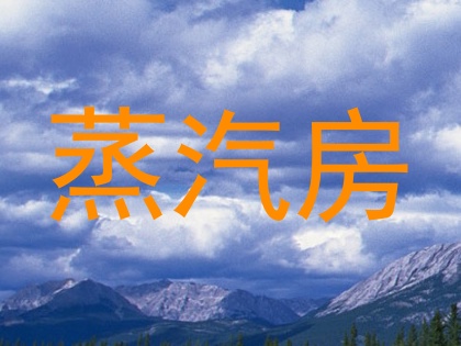 蒸汽房