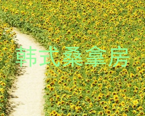 韩式桑拿房
