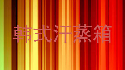 韩式汗蒸箱