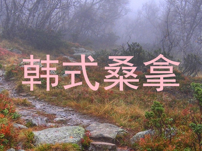 韩式桑拿