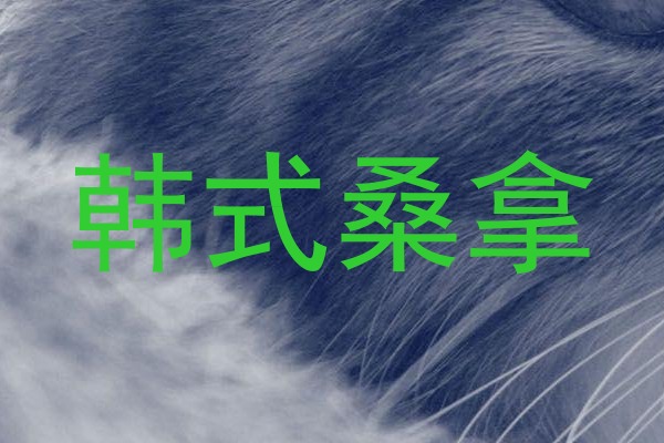 韩式桑拿
