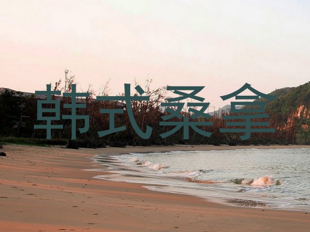 韩式桑拿