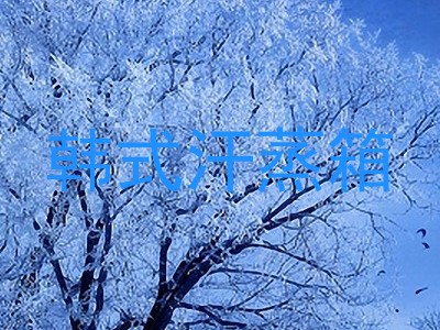 韩式汗蒸箱