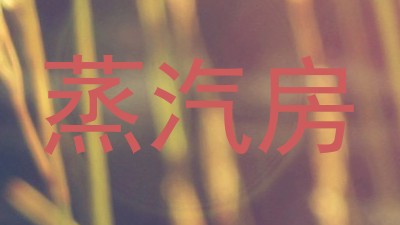 蒸汽房