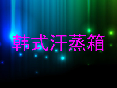 韩式汗蒸箱