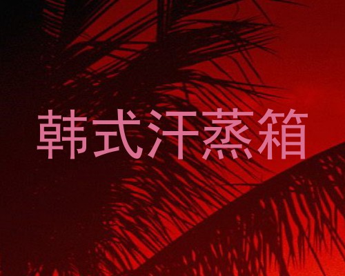 韩式汗蒸箱