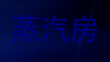 蒸汽房