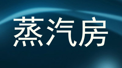 蒸汽房