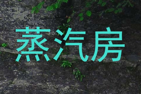蒸汽房