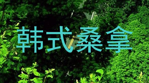 韩式桑拿