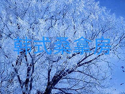 韩式桑拿房
