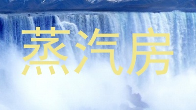 蒸汽房