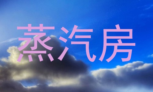 蒸汽房
