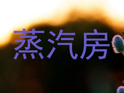 蒸汽房