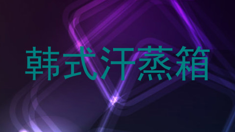 韩式汗蒸箱