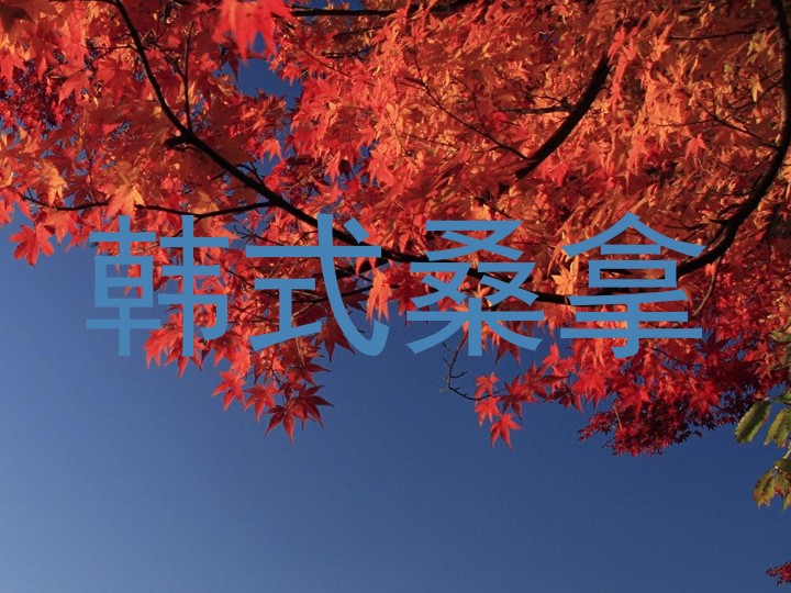 韩式桑拿