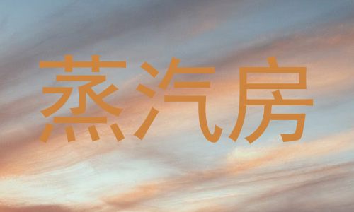 蒸汽房