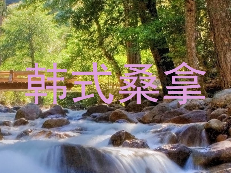 韩式桑拿