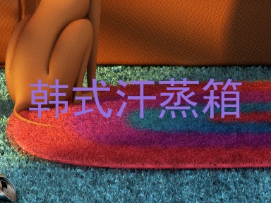 韩式汗蒸箱