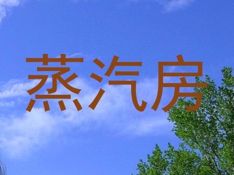 蒸汽房