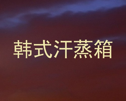 韩式汗蒸箱