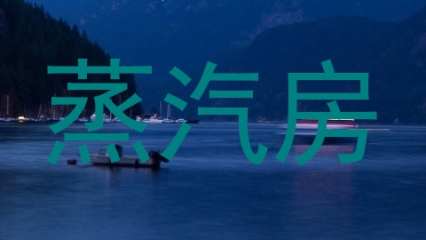 蒸汽房