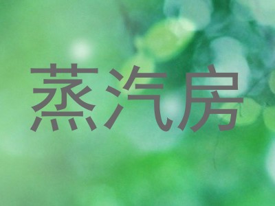 蒸汽房